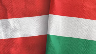 Macaristan ve Avusturya iki bayraklı tekstil kumaşı 3D