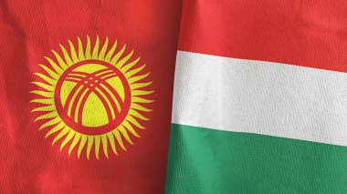 Macaristan ve Kırgızistan iki bayraklı tekstil kumaşı 3D