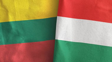 Macaristan ve Litvanya 'da iki bayraklı tekstil kumaşı 3D