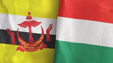 Macaristan ve Brunei iki bayrak tekstil kumaşı 3D