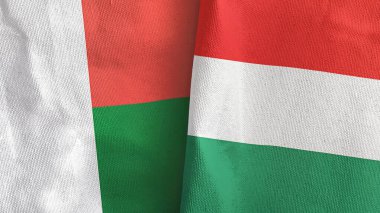 Macaristan ve Madagaskar iki bayraklı tekstil kumaşı 3D