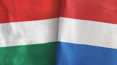 Hollanda ve Macaristan iki bayraklı tekstil kumaşı 3D
