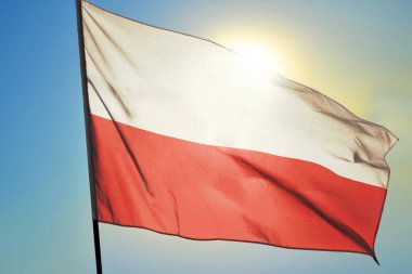 Polonya bayrağı güneşin önünde rüzgarda dalgalanıyor