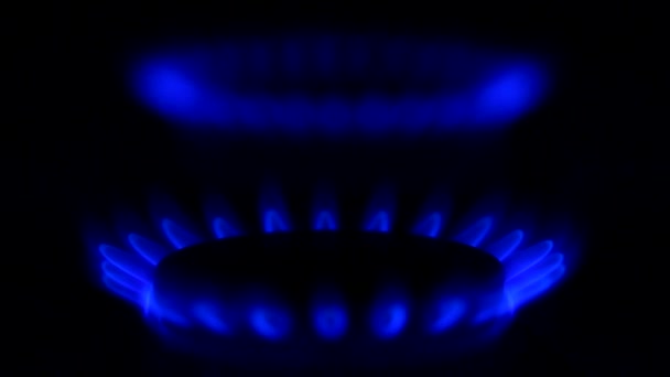 Natural gas burner on stove — Stock Video