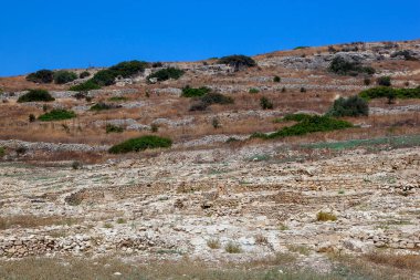 Kıbrıs Rum Kesimi 'nin Limasol kentindeki antik kalıntılar. Turizm, seyahat.