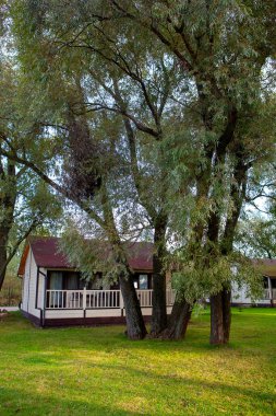 Sabahın erken saatlerinde ağaçların arasında küçük kulübeler..