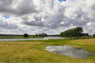 Batı Vlaanderen Belçika 'da nehir ağaçları ve küçük göl manzarası