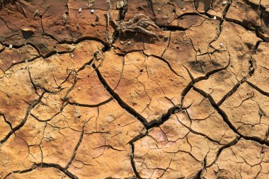 Kurak mevsimde çatlamış kil zemin dokusu