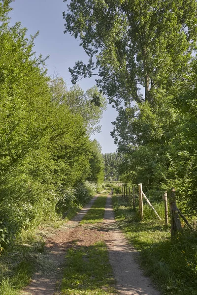 佛兰德阿登比利时的乡村道路 — 图库照片