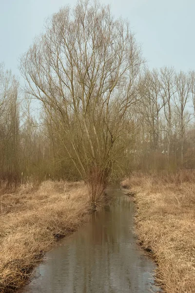 Flamanca Ardennes 'de Sonbaharda manzara