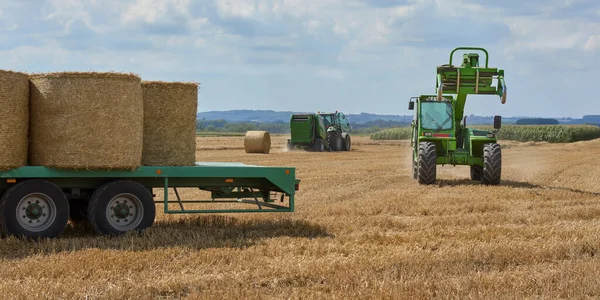 ベルギーの夏の小麦作物の収穫フランダース — ストック写真