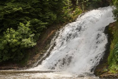 Stavelot Coo Belçika 'da küçük bir şelale.