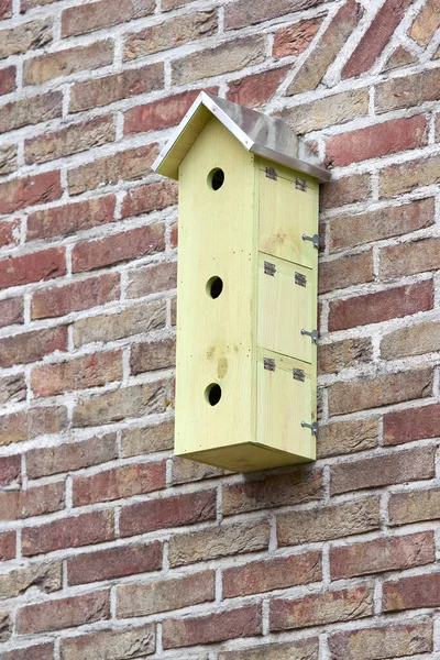 Wooden Bird House Three Sparrow — Stock Photo, Image