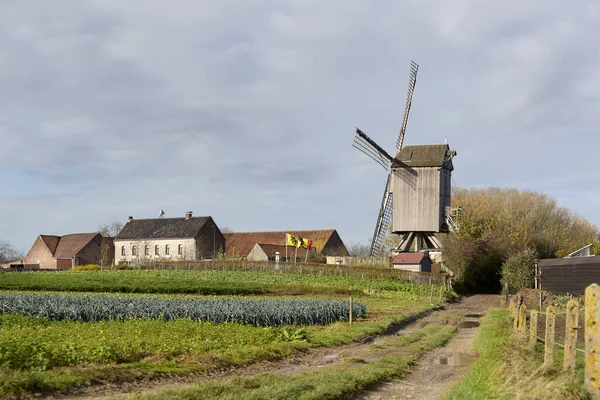 Krajobraz Zabytkowym Wiatrakiem Flamandzkim Ardenach Flandria Belgia — Zdjęcie stockowe