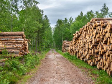 Toprak bir tarlanın tepesinde duran ahşap banklar.