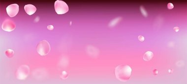 Gül Yaprakları Düşen Konfeti. Çiçekli Kozmetik Reklamları Soylu Çiçek Geçmişi. Uçan Japon Kirazlı Gül Sakura Taç Afişi. Güzel suluboya dokusu. Windy Leaves Konfeti Çerçevesi.