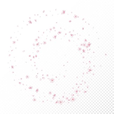 Kiraz çiçekli konfeti. Zarif Pastel Deseni. Çiçekli Kozmetik Reklamları Soylu Çiçek Geçmişi. Düşen Japon Kiraz Gül Yaprakları Tasarımı. Windy Leaves Konfeti Sancağını Bırakıyor.