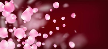 Gül Yaprakları Düşen Konfeti. Çiçek açan kozmetik reklamları güzel çiçek arkaplanı. Düşen Japon Gül Kirazı Sakura Yaprakları Tasarımı. Windy Leaves Confetti Frame. Zarif Pastel Deseni.