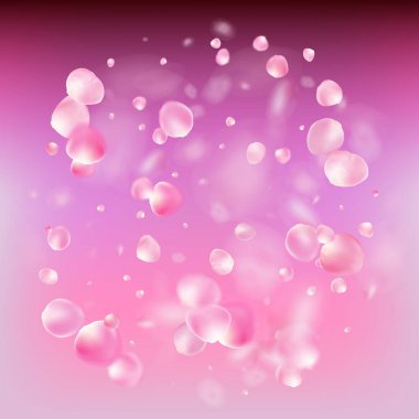 Uçan Gül Yaprakları Konfeti. Çiçekli Kozmetik Ürünleri Zarif Çiçek Arkaplanı. Windy Leaves Confetti Banner. Noble Premium Tender dokusu. Düşen Japon Kirazı Gül Sakura Yaprakları Tasarımı.