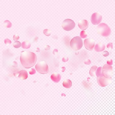 Uçan Gül Yaprakları Konfeti. Uçan Japon Kiraz Gülü Sakura Yaprakları Çerçevesi. Çiçekli Kozmetik Reklamları Zarif Çiçek Arkaplanı. Bayan Pastel Pastel Deseni. Windy Leaves Konfeti Tasarımı.