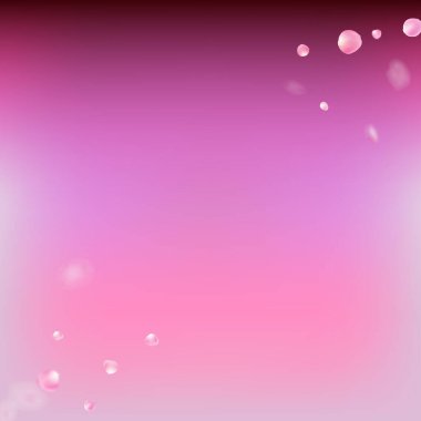 Uçan Gül Yaprakları Konfeti. Kadın Premium Kadın dokusu. Windy Leaves Confetti Sınırı. Çiçekli Kozmetik Reklamları Zarif Çiçek Arkaplanı. Düşen Japon Sakura Gül Kiraz Yaprakları Tasarımı.