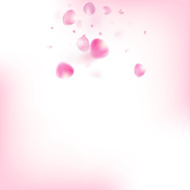 Uçan Gül Yaprakları Konfeti. Windy Leaves Konfeti Tasarımı. Çiçek açan kozmetik reklamları güzel çiçek arkaplanı. Soylu zengin VIP Pastel dokusu. Uçan Japon Kirazı Gül Sakura Yaprakları Çerçevesi.