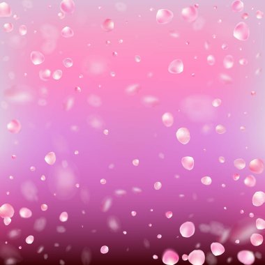 Uçan Gül Yaprakları Konfeti. Güzel Rich VIP Suluboya Şablonu. Düşen Japon Sakura Gül Kiraz Yaprakları Sınırı. Çiçekli Kozmetik Ürünleri Zarif Çiçek Arkaplanı. Windy Leaves Confetti Posteri.