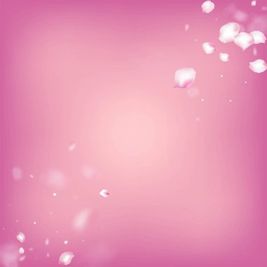 Kirazlı Sakura Blossom Konfeti. Kadın Premium Tender Destern. Düşen Japon Kiraz Gülü Sakura Taç Sınırı. Windy Leaves Confetti Frame. Çiçekli Kozmetik Reklamları Zarif Çiçek Arkaplanı.