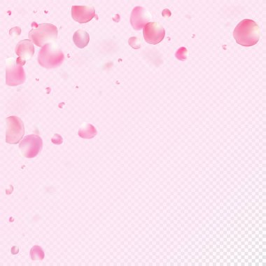 Uçan Gül Yaprakları Konfeti. Çiçek açan kozmetik reklamları güzel çiçek arkaplanı. Düşen Japon Sakura Gül Kiraz Yaprağı Çerçevesi. Zarif Rich VIP Pastel Deseni. Windy Leaves Konfeti Sancağını Bırakıyor.
