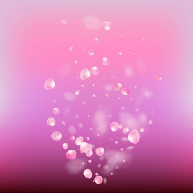 Uçan Gül Yaprakları Konfeti. Çiçekli Kozmetik Reklamları Soylu Çiçek Geçmişi. Çok güzel bir sihirli desen. Düşen Japon Sakura Gül Kiraz Yaprakları Sınırı. Windy Leaves Confetti Posteri.