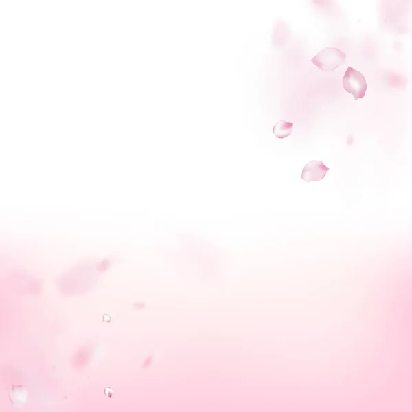 桜のコンフェッティ 風の葉コンフェッティデザイン エレガントなプレミアムパステルテクスチャ 開花化粧品広告美しい花の背景 日本の桜の花びらが落ちる Border — ストックベクタ