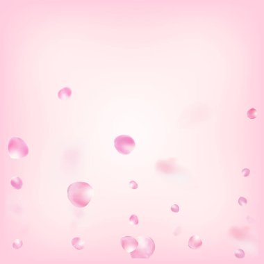 Uçan Gül Yaprakları Konfeti. Windy Leaves Confetti Frame. Çiçek açan kozmetik reklamları asil çiçek arkaplanı. Uçan Japon Kirazı Sakura Gül Yaprakları Tasarımı. Kadın Pastel Pastel Dokusu.