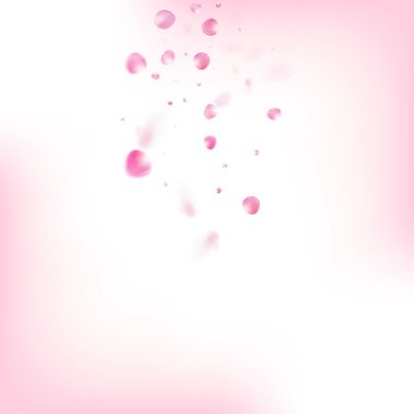 Uçan Gül Yaprakları Konfeti. Düşen Japon Sakura Gül Kiraz Yaprağı Çerçevesi. Windy Leaves Confetti Posteri. Çiçekli Kozmetik Ürünleri Zarif Çiçek Arkaplanı. Güzel Suluboya Şablonu.