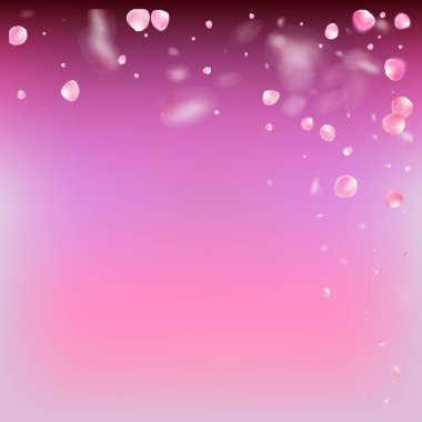 Uçan Gül Yaprakları Konfeti. Düşen Japon Kiraz Gülü Sakura Yaprakları Posteri. Windy Leaves Confetti Frame. Çiçek açan kozmetik reklamları güzel çiçek arkaplanı. Zarif Pastel Deseni.