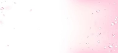 Kirazlı Sakura Petals Konfeti. Çiçek açan kozmetik reklamları asil çiçek arkaplanı. Düşen Japon Sakura Gül Kiraz Yaprakları Sınırı. Windy Leaves Confetti Posteri. Kadın Premium İhale Deseni.