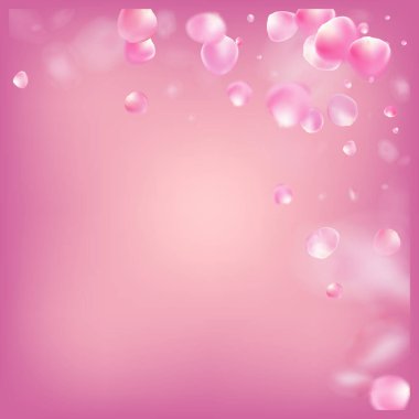 Uçan Gül Yaprakları Konfeti. Çiçek açan kozmetik reklamları güzel çiçek arkaplanı. Kadın kaliteli suluboya dokusu. Windy Leaves Confetti Frame. Uçan Japon Kirazı Gül Sakura Yaprakları Posteri.