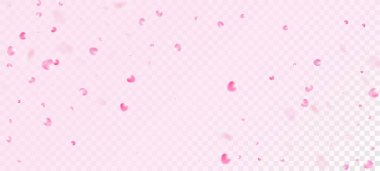 Gül Yaprakları Düşen Konfeti. Çiçekli Kozmetik Reklamları Zarif Çiçek Arkaplanı. Kadın Premium Kadın dokusu. Düşen Japon Gül Sakura Kiraz Yaprakları Posteri. Windy Leaves Konfeti Sancağını Bırakıyor.