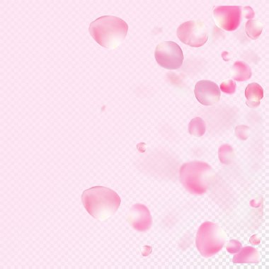 Uçan Gül Yaprakları Konfeti. Uçan Japon Kirazlı Sakura Gül Yaprakları Posteri. Windy Leaves Konfeti Tasarımı. Zarif bir suluboya deseni. Çiçekli Kozmetik Reklamları Soylu Çiçek Arkaplanı.