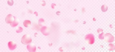 Gül Yaprakları Düşen Konfeti. Güzel Zengin Büyülü VIP dokusu. Düşen Japon Sakura Gül Kiraz Yaprağı Çerçevesi. Windy Leaves Confetti Banner. Çiçekli Kozmetik Reklamları Zarif Çiçek Arkaplanı.