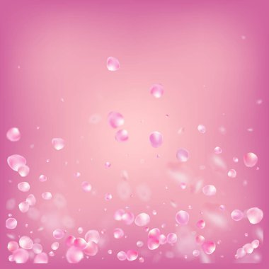 Uçan Gül Yaprakları Konfeti. Düşen Japon Gül Sakura Kiraz Yaprakları Çerçevesi. Asil Büyülü Doku. Windy Leaves Confetti Sınırı. Çiçek açan Kozmetik Reklamları Kadın Çiçek Arkaplanı.