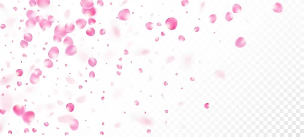 Gül Yaprakları Düşen Konfeti. Soylu Zengin VIP Pastel Deseni. Çiçekli Kozmetik Reklamları Zarif Çiçek Arkaplanı. Windy Leaves Confetti Posteri. Uçan Japon Kirazı Gül Sakura Taç Afişi.