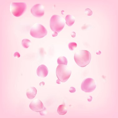 Uçan Gül Yaprakları Konfeti. Windy Leaves Confetti Banner. Zarif Rich VIP Pastel dokusu. Blooming Kozmetik Reklamları Kadın Çiçek Arkaplanı. Uçan Japon Gülü Sakura Kiraz Yaprakları Tasarımı.