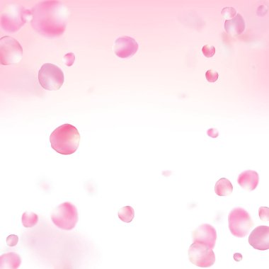 Uçan Gül Yaprakları Konfeti. Windy Leaves Confetti Posteri. Düşen Japon Kirazı Gül Sakura Yaprakları Çerçevesi. Çiçek açan kozmetik reklamları asil çiçek arkaplanı. Kadın Zengin VIP Kadın Kalıbı.