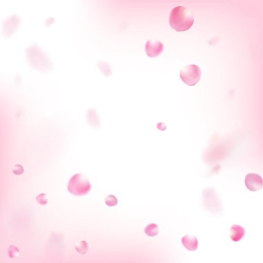 Uçan Gül Yaprakları Konfeti. Windy Leaves Confetti Frame. Kadın Premium Tender Destern. Çiçekli Kozmetik Reklamları Soylu Çiçek Geçmişi. Düşen Japon Sakura Kiraz Gül Yaprakları Tasarımı.