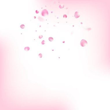 Uçan Gül Yaprakları Konfeti. Zarif Zengin VIP Watercolor Deseni. Windy Leaves Confetti Sınırı. Çiçek açan kozmetik reklamları güzel çiçek arkaplanı. Uçan Japon Gülü Sakura Kiraz Yaprakları Posteri.