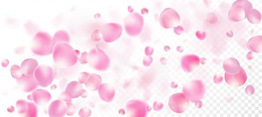 Gül Yaprakları Düşen Konfeti. Çok güzel bir sihirli desen. Uçan Japon Kiraz Gül Yaprakları Posteri. Windy Leaves Confetti Sınırı. Çiçekli Kozmetik Reklamları Soylu Çiçek Arkaplanı.