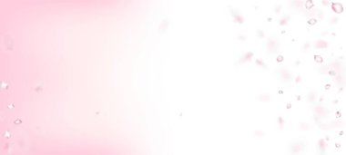 Kirazlı Sakura Petals Konfeti. Uçan Japon Gül Sakura Kiraz Yaprakları Posteri. Çiçek açan kozmetik reklamları asil çiçek arkaplanı. Zarif Pastel Deseni. Windy Confetti Sınırı 'ndan Çıkıyor.