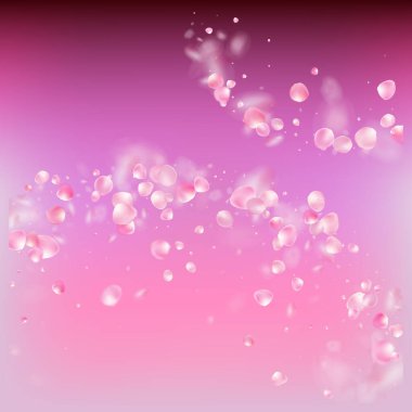 Uçan Gül Yaprakları Konfeti. Windy Leaves Konfeti Tasarımı. Blooming Kozmetik Reklamları Kadın Çiçek Arkaplanı. Zarif Rich VIP Pastel dokusu. Düşen Japon Kirazı Gül Sakura Taç Afişi.