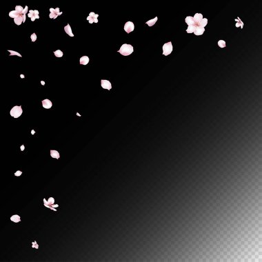 Kiraz çiçekli konfeti. Windy Leaves Confetti Posteri. Uçan Japon Sakura Kiraz Gül Taç Sınırı. Blooming Kozmetik Reklamları Kadın Çiçek Arkaplanı. Zarif Pastel Deseni.