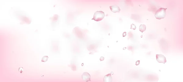 Kirazlı Sakura Petals Konfeti. Düşen Japon Kiraz Gülü Sakura Taç Afişi. Windy Leaves Confetti Sınırı. Çiçek açan kozmetik reklamları asil çiçek arkaplanı. Zarif Premium İhale Deseni.